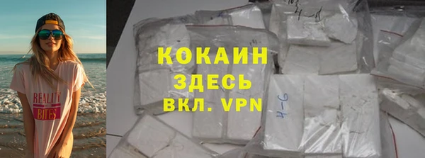 твердый Алзамай